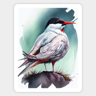 Arctic Tern - Watercolor Paint Magnet